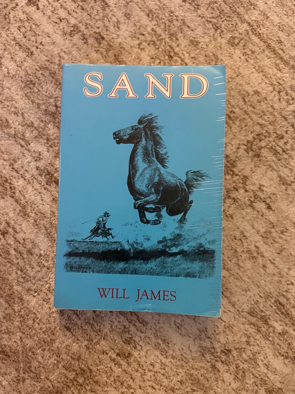 BOOK: Sand by Will James Western Horse Novel (1929) - Paperback Edition